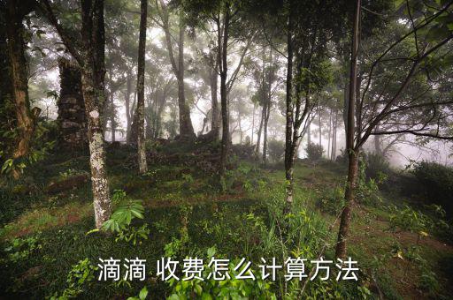  滴滴 收費怎么計算方法