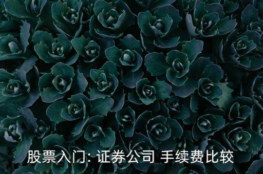 股票入門: 證券公司 手續費比較