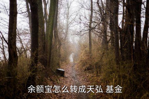  余額寶怎么轉成天弘 基金