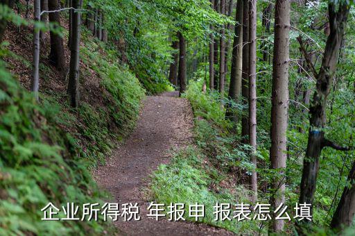 企業所得稅 年報申 報表怎么填