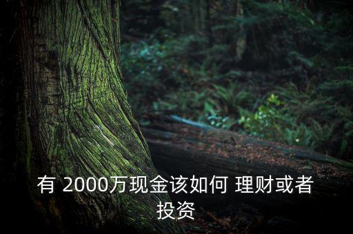 有 2000萬現金該如何 理財或者投資
