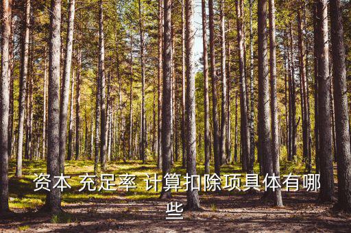 資本充足率怎么計算,商業銀行-2資本充足率指標1.2%