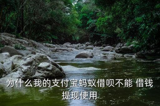 借錢寶怎么申請提現金,支付寶是正規平臺上有借錢功能小程序