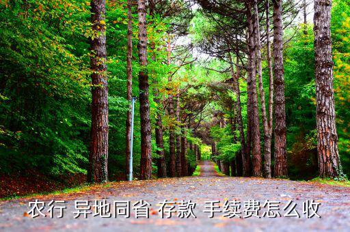 異地存款手續費怎么收,中國工商銀行調整異地取款手續費標準