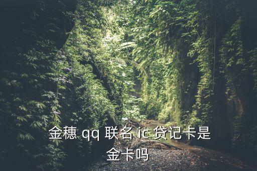 農行金穗qq聯名ic貸記卡怎么樣