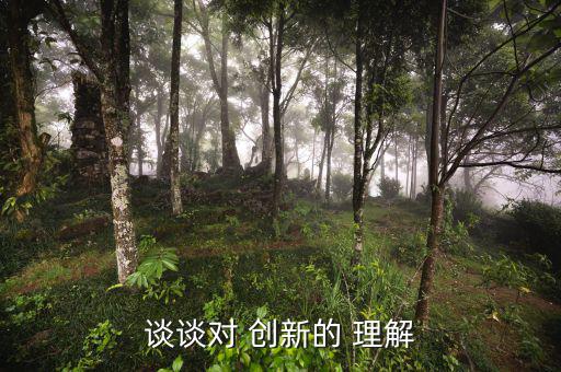 創新怎么理解,創新:發展過去沒有的東西