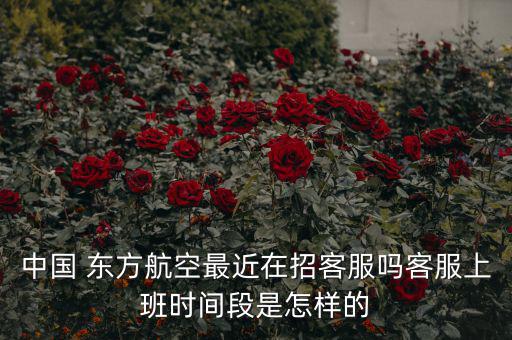 東方航空做客服怎么樣,東航新客服中心號開通提供統一服務
