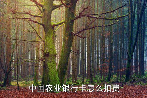 中國農業銀行怎么收費,中國農業銀行可為客戶提供一個免費賬戶