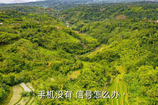 歐奇沒信號(hào)怎么辦,手機(jī)無法接聽電話常見原因及解決方法