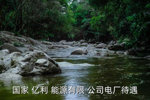 億利能源公司業務怎么樣,化工行業的優秀企業