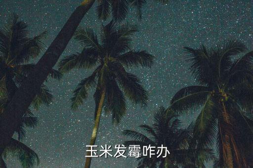 玉米有點霉怎么辦,因受潮變質玉米會發酵產生霉菌