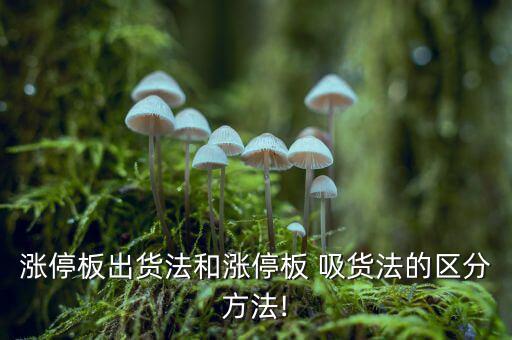 主力吸貨怎么吸,第一階段交易完成后主力被悄悄發貨