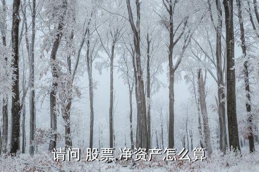 請問 股票 凈資產怎么算
