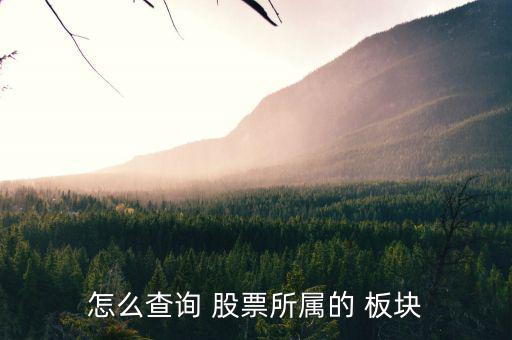 怎么看股票板塊,股票code區分股票類型一般來說包括兩類