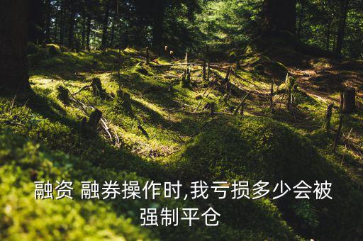  融資 融券操作時,我虧損多少會被強制平倉
