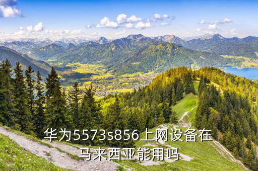  華為5573s856上網設備在 馬來西亞能用嗎