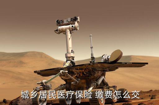 城鄉醫保怎么繳費,城鄉居民醫保繳費有何不同?