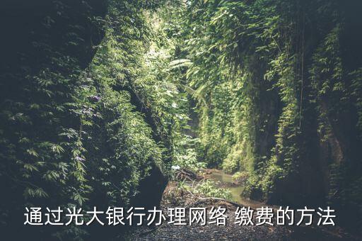 通過光大銀行辦理網(wǎng)絡 繳費的方法