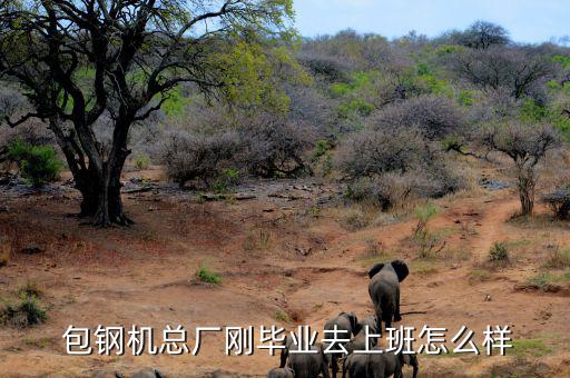 包鋼股份怎么樣最新,包鋼機械總廠剛畢業就上班挺好的!