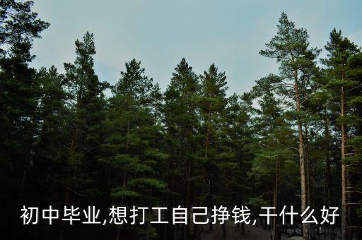 畢業生怎么賺錢,初中畢業生該怎么辦?