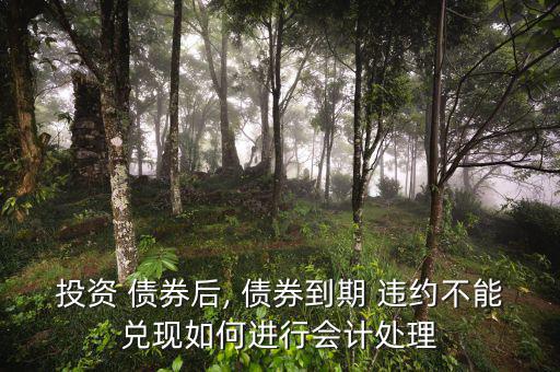 投資 債券后, 債券到期 違約不能兌現如何進行會計處理