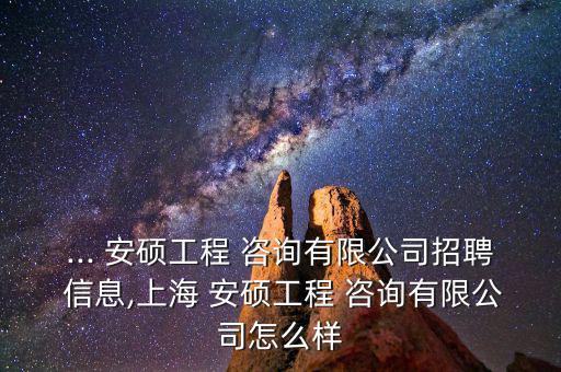 安碩信息的業務咨詢怎么樣,釘釘企業代碼數據來自企業征信機構