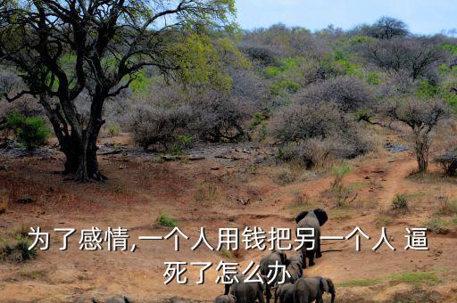 被錢逼死怎么辦,如果你的大數據已黑了建議最近不要重試貸款