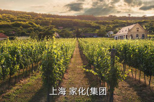 上海家化怎么不漲,上海家化有限責任公司為企業法人成立