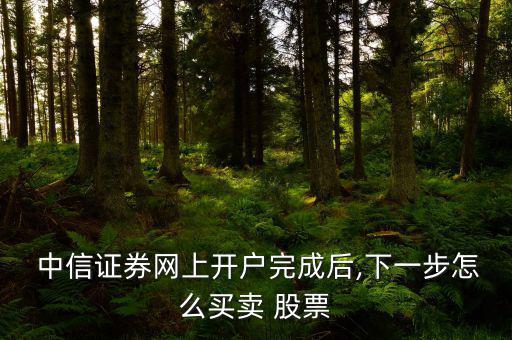  中信證券網上開戶完成后,下一步怎么買賣 股票