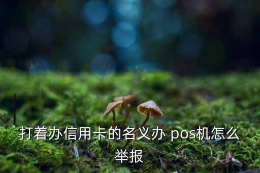 銀行怎么監管pos機,拉卡拉國際賽事:巴西隊奪得銀牌