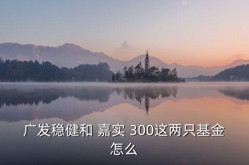 嘉實300怎么樣,跟蹤滬深300指數的指數基金