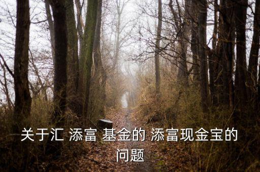 關于匯 添富 基金的 添富現金寶的問題