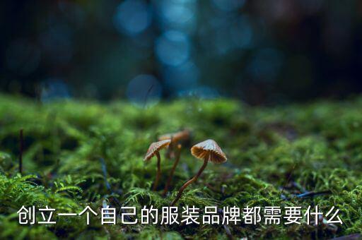 獨立品牌創始怎么做,創業需要積累品牌文化水平和消費者認知度