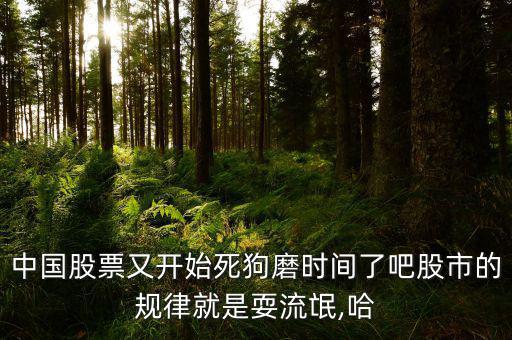 中國股票又開始死狗磨時間了吧股市的規律就是耍流氓,哈