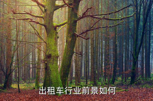  出租車行業前景如何