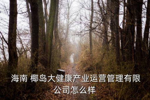 海南椰島怎么,椰島房地產開發有限公司2009年8月注冊成立