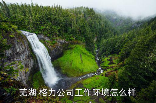 蕪湖 格力公司工作環境怎么樣