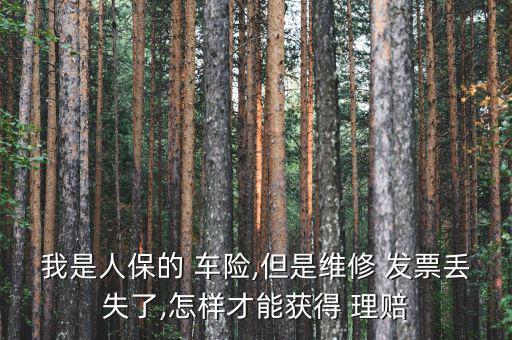 車險發票丟了怎么理賠,車險發票丟失保險公司可以理賠你好!