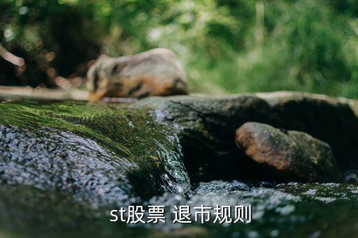  st股票 退市規則