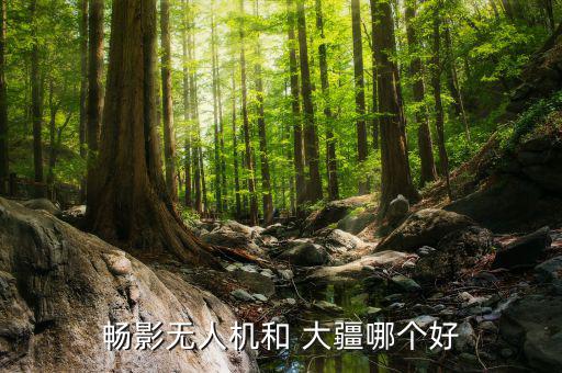 大疆創新銷售怎么樣,大疆創新成立20年專注于無人機領域