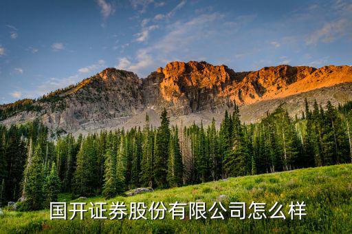 國開金融怎么樣,中國國家開發銀行改制為國開銀行股份公司