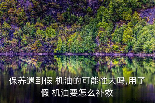 保養遇到假 機油的可能性大嗎,用了假 機油要怎么補救