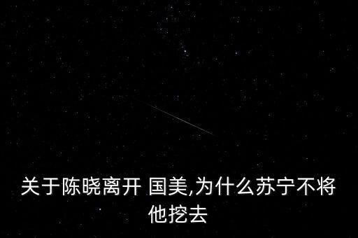 國美陳曉是怎么失敗的,陳曉是中國最大家電企業的掌舵人
