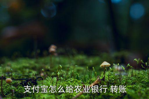  支付寶怎么給農業銀行 轉賬