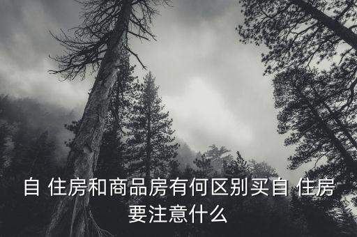 自住房怎么搖號,京字-1搖號規則:購房家庭按一定比例抽取
