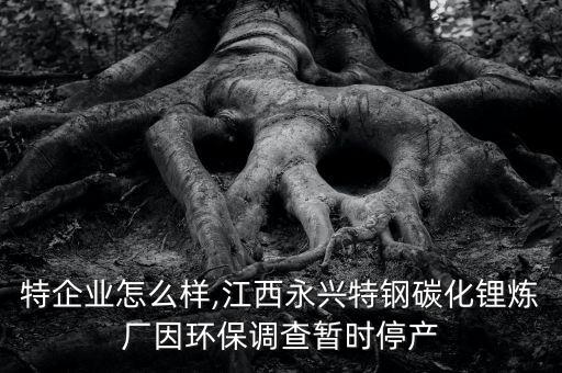 永興特企業怎么樣,江西永興特鋼碳化鋰煉廠因環保調查暫時停產