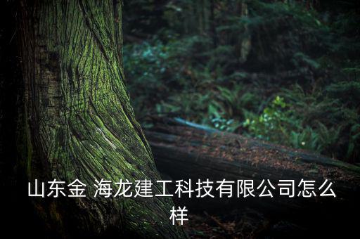 山東海龍集團怎么樣,山東大海集團有限公司處于開業狀態