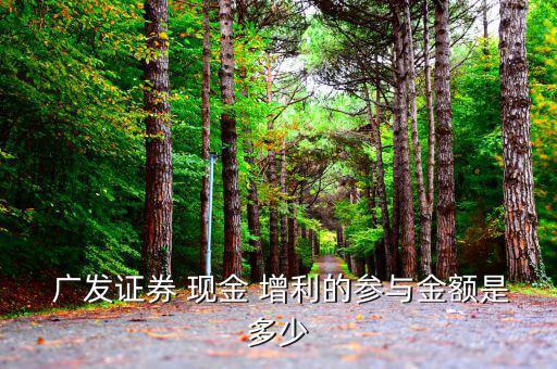  廣發證券 現金 增利的參與金額是多少