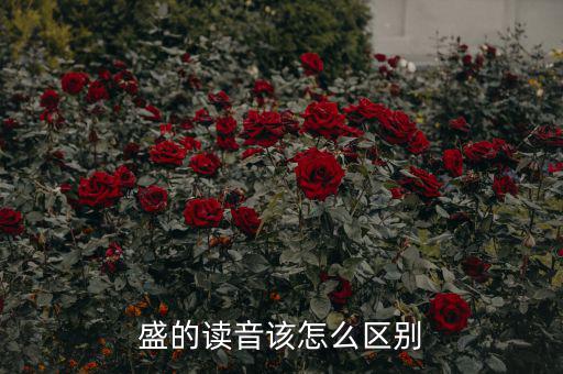 嘉盛中心的盛怎么讀,盛會、豐盛、茂盛、盛大等五個漢字