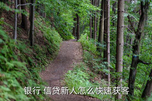 信貸怎么跑銀行業務,個人貸款一般指個人房產抵押消費貸款